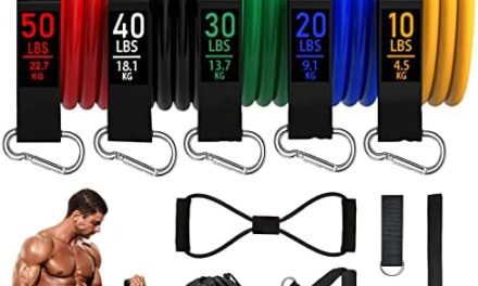 Resistance Bands, Resistance Band Set, Workout Bands, Exercise Bands for Men and Women, Exercise Bands with Door Anchor, Physical Therapy, Shape Body