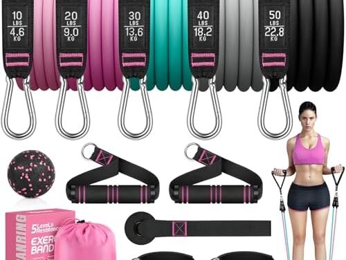 RENRANRING Resistance Bands for Working Out, 150LBS Exercise Bands, Workout Bands, Resistance Bands Set with Handles for Men Women, Legs Ankle Straps for Muscle Training