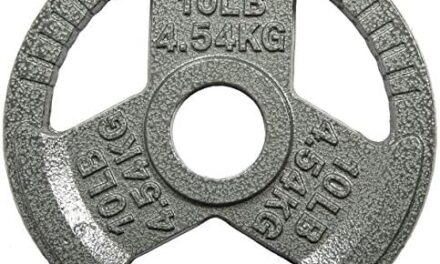 Cast Iron Plate Weight Plate for Strength Training and Weightlifting, Standard or Olympic, Multiple Sizes