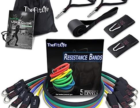 TheFitLife Exercise Resistance Bands with Handles – 5 Fitness Workout Bands Stackable up to 110/150/200/250/300 lbs, Training Tubes with Large Handles, Ankle Straps, Door Anchor, Carry Bag